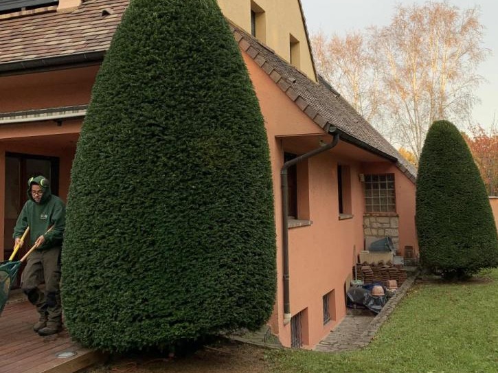 Paysagiste à Boulogne-Billancourt