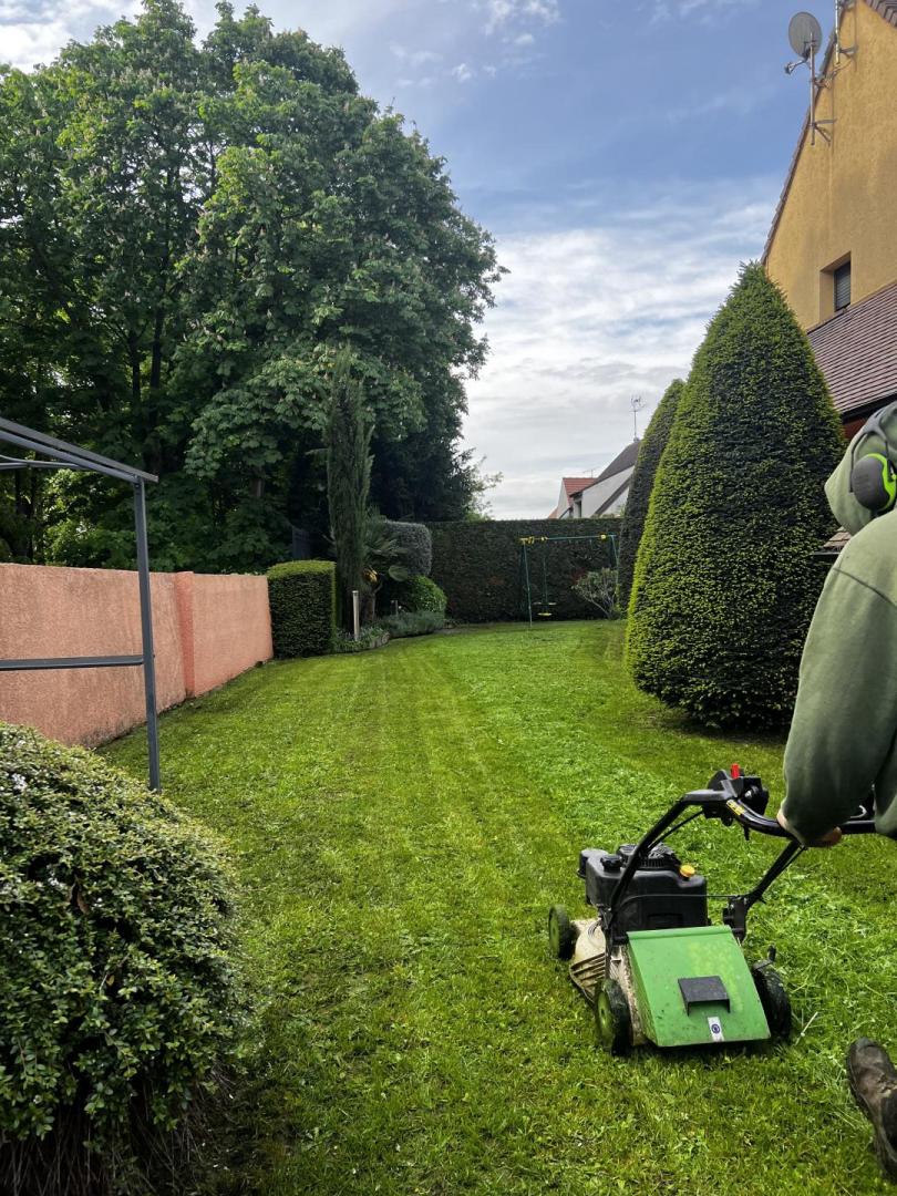 Entretien de jardin Thiais