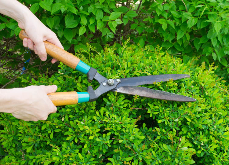 <p>Entretien de jardin, Orly</p><p>Travaux d’entretien de jardin, Orly</p><p>Entreprise d’entretien de jardin, Orly</p>